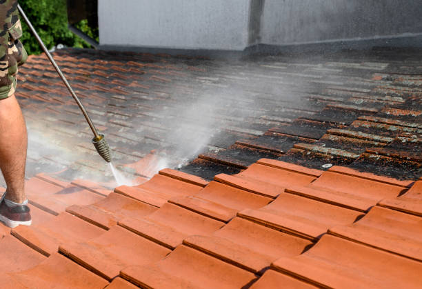 Best Roof Power Washing Services  in Starbuck, MN