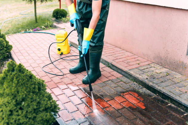 Best Residential Pressure Washing Services  in Starbuck, MN