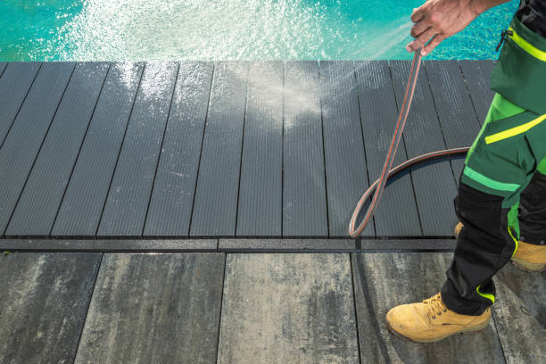 Best Roof Pressure Washing  in Starbuck, MN