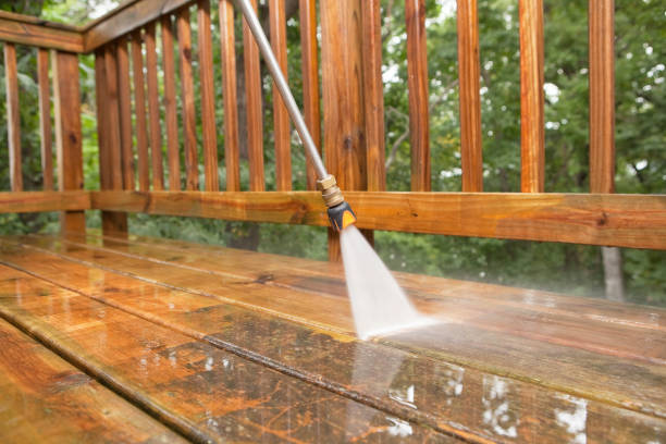 Best Deck Cleaning Services  in Starbuck, MN