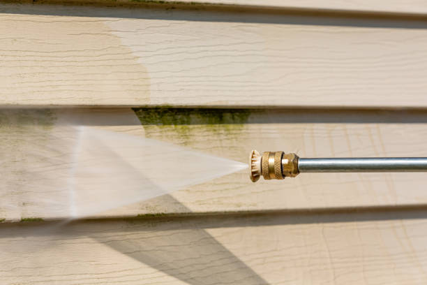Best Exterior Home Cleaning  in Starbuck, MN